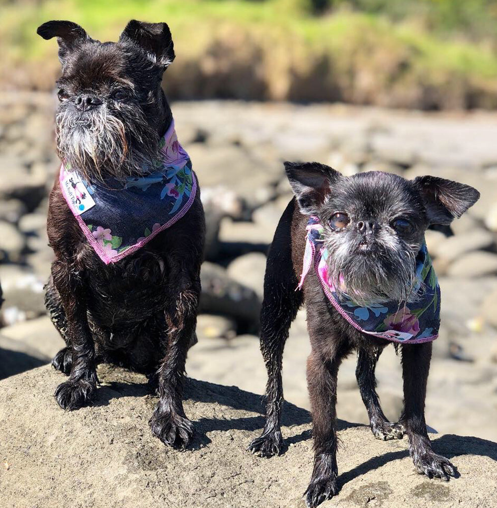 Denim Garden Bandana