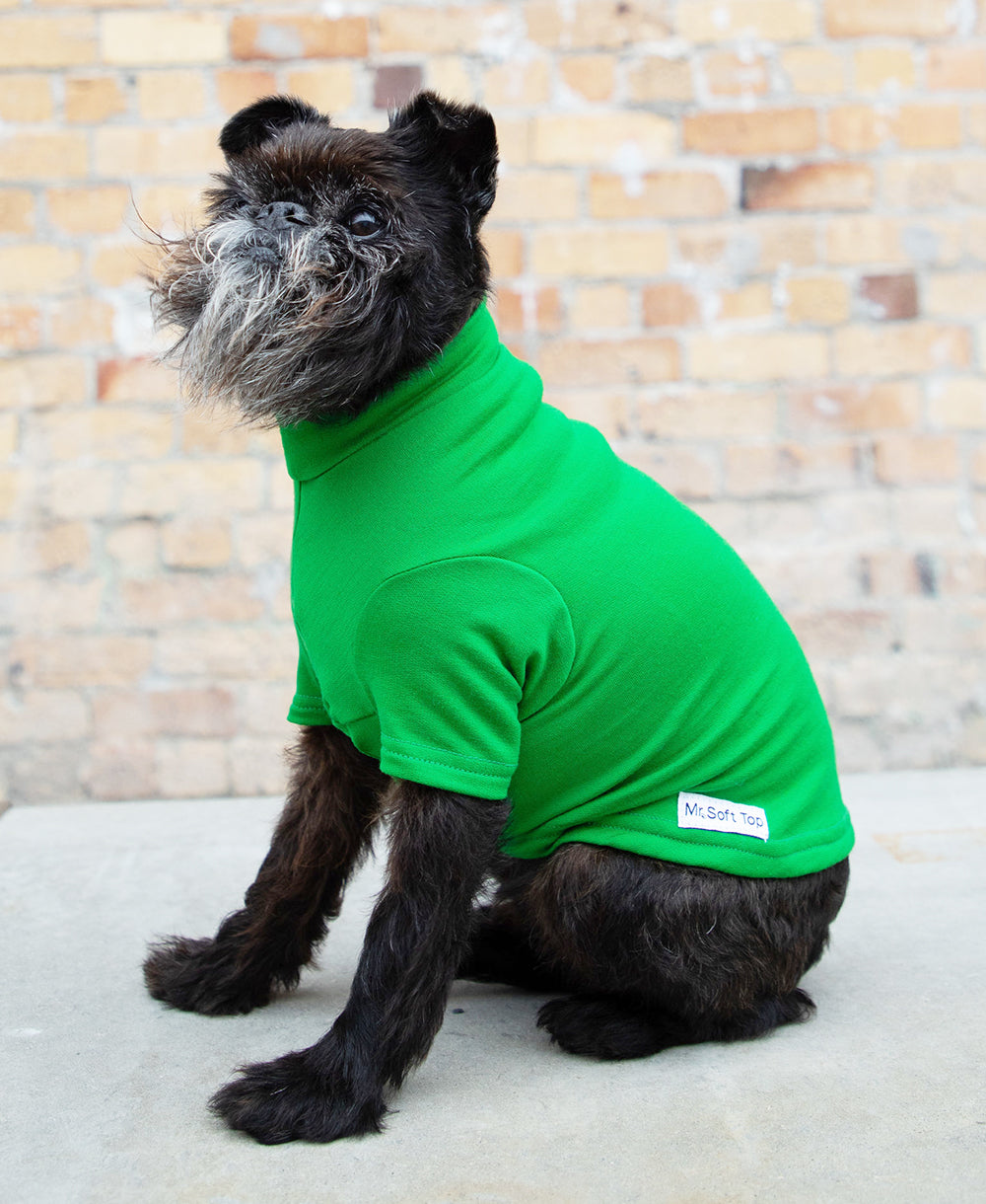 Grass Green Merino Tee