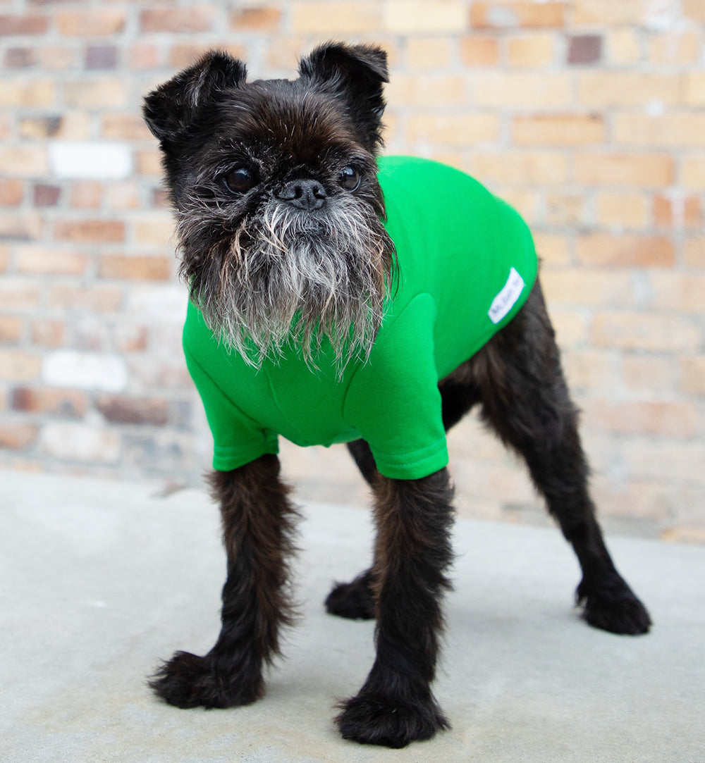 Grass Green Merino Tee