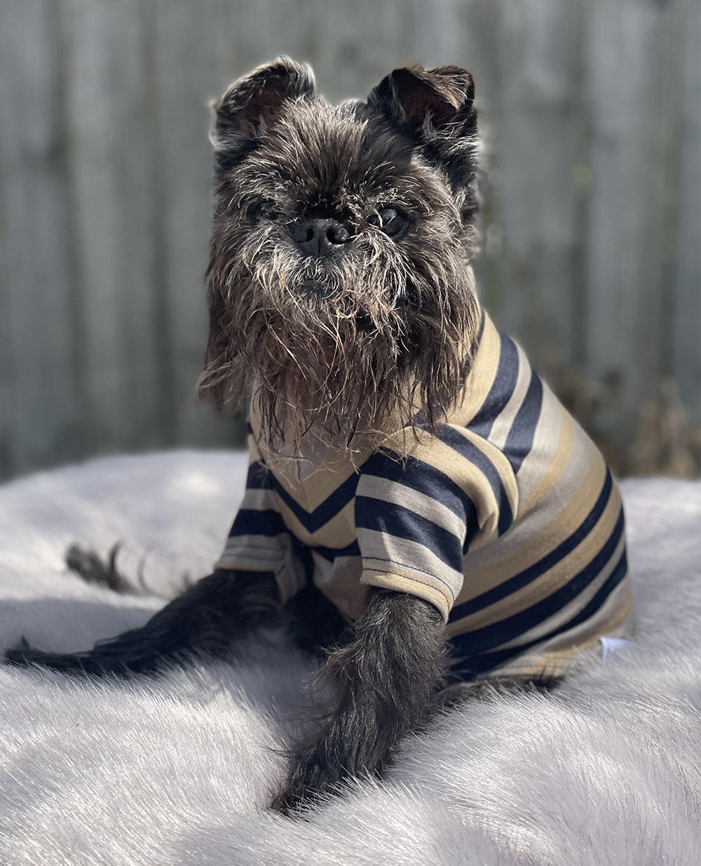 Everyday Striped Merino Tee - Taupe