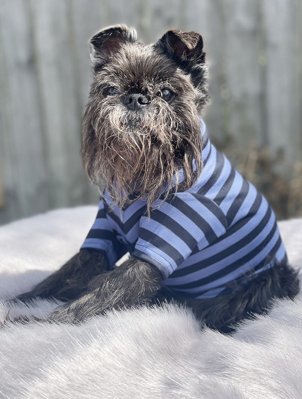 Everyday Striped Merino Tee - Blue