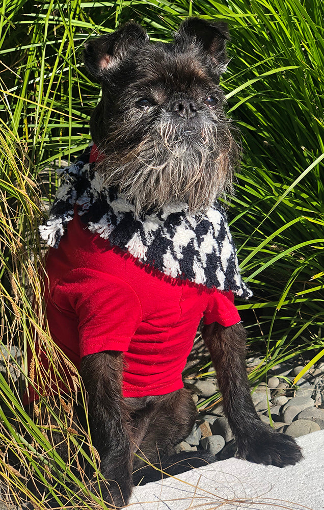 Winter Bandana