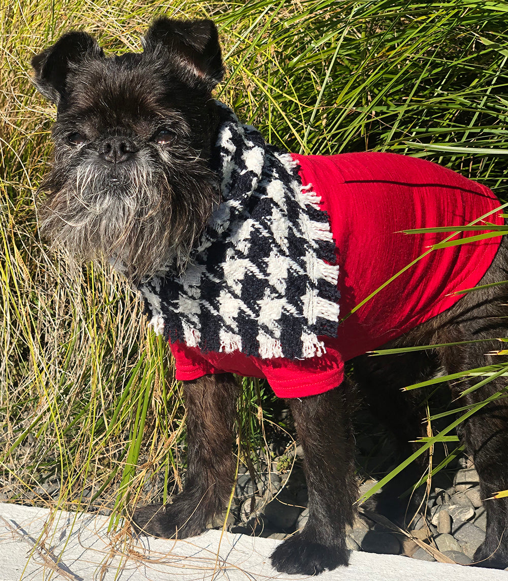 Winter Bandana