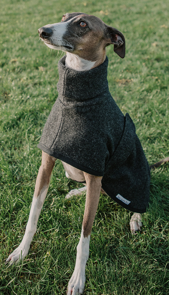 Charcoal 100% Merino Italian Greyhound Coat