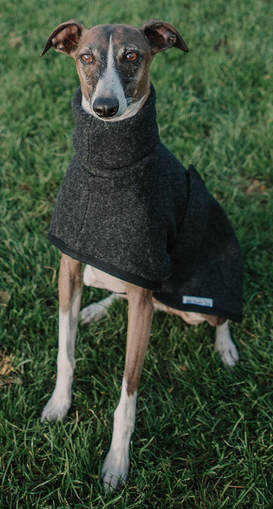 Charcoal 100% Merino Italian Greyhound Coat