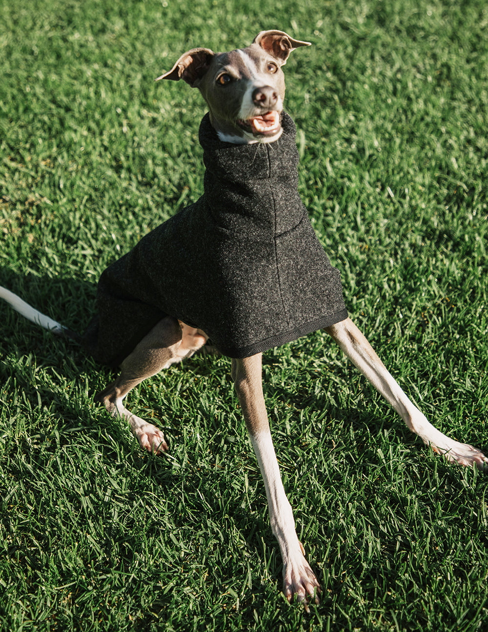 Charcoal 100% Merino Italian Greyhound Coat