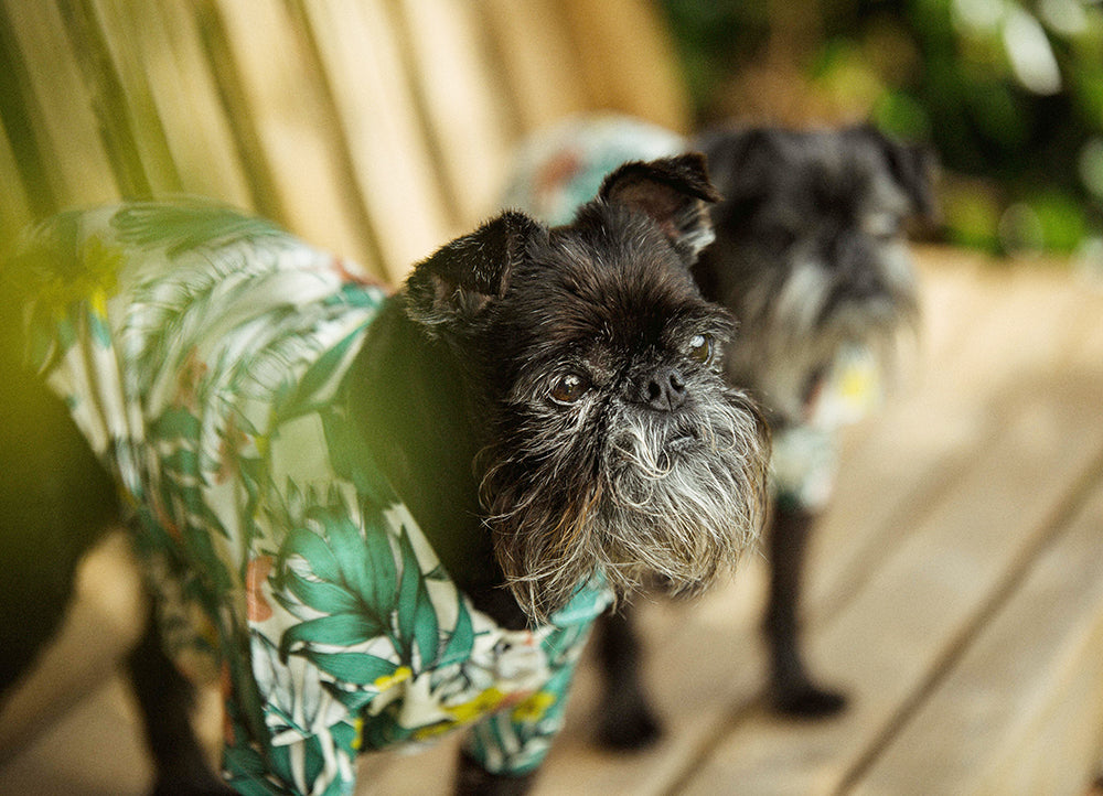 Jungle Fever Ruff 'n' Tuff Workshirt