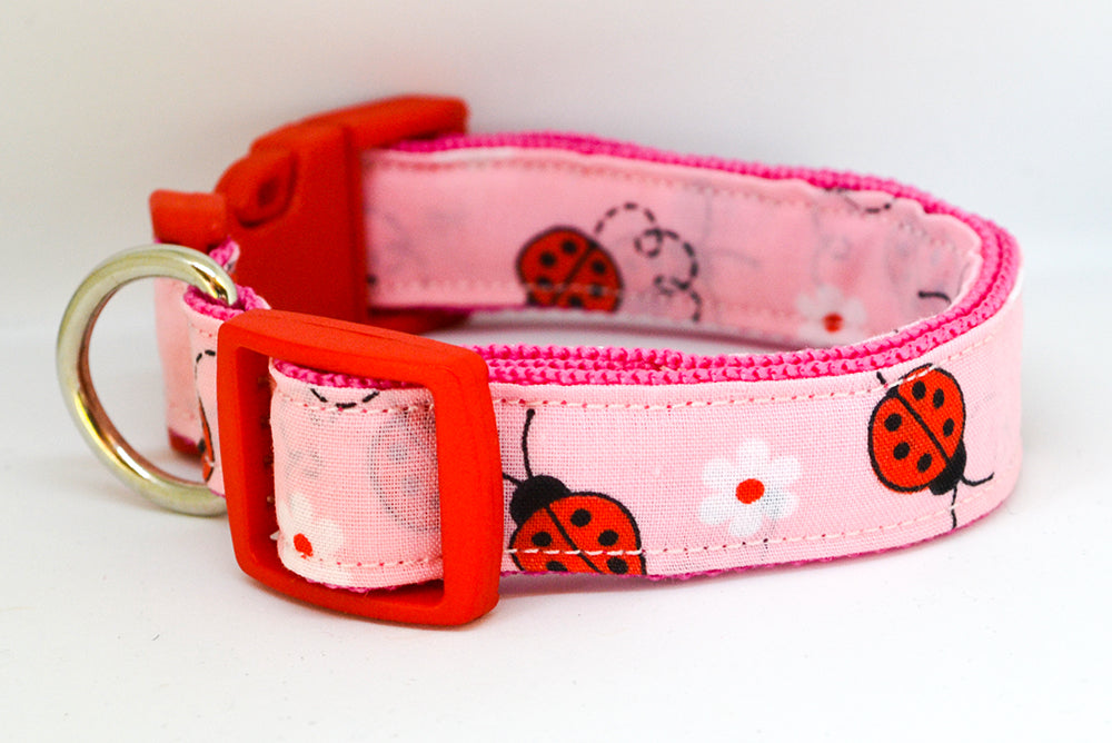 Ladybug Pink Collar