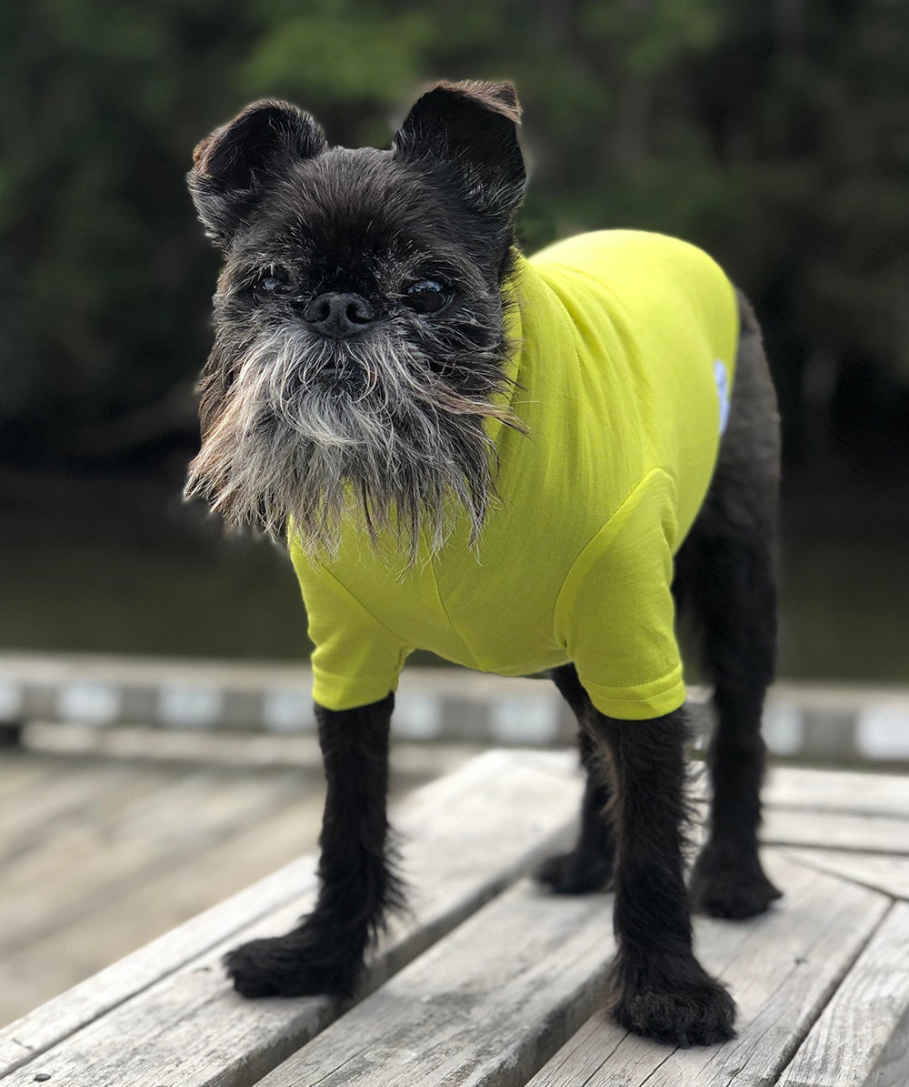 Lemongrass Merino Tee