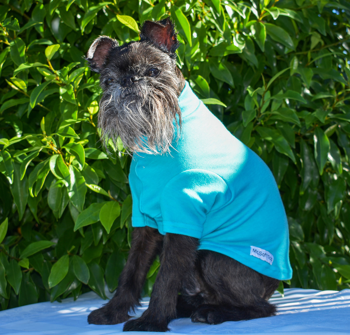 Turquoise Medium Weight Merino Tee