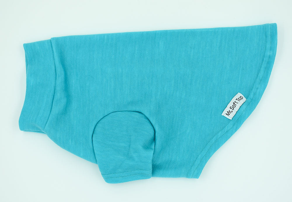 Turquoise Medium Weight Merino Tee