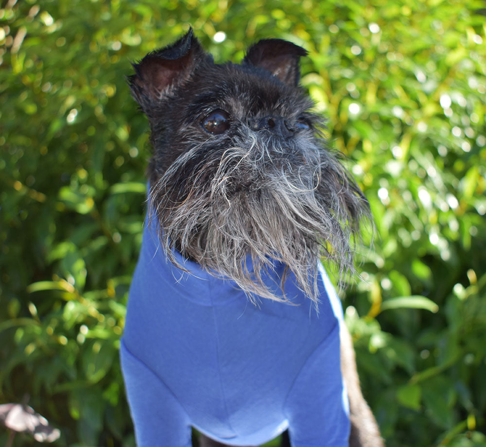 Limoges Blue Lightweight Merino Tee