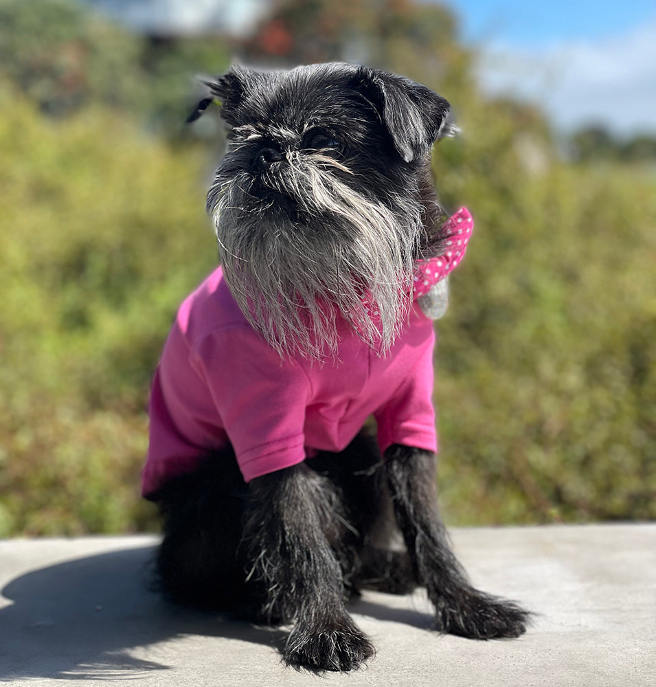 Bright Pink Plain Cotton Dog Tee