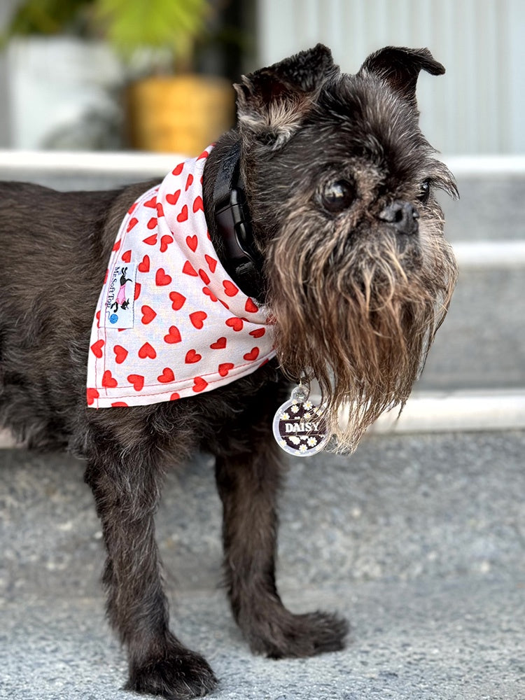 Love is in the Air Heart Bandana