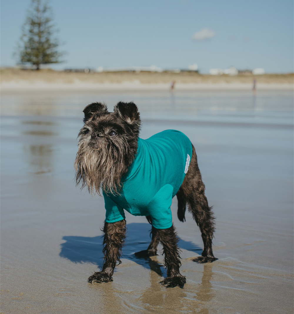 Macau Green Merino Tee