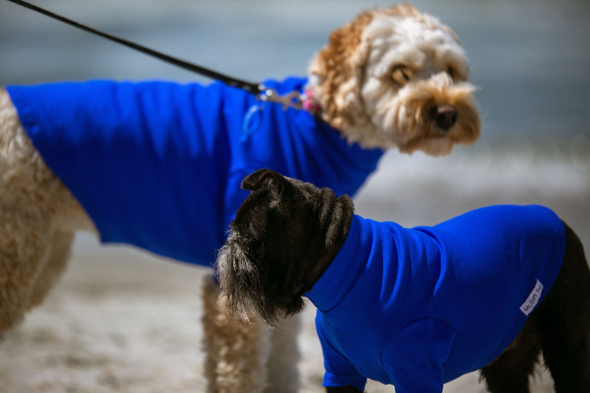 Electric Blue Merino Tee - Short and Long