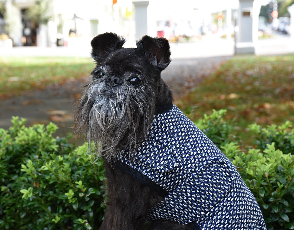 Navy Blue Tweed  Walking Coat