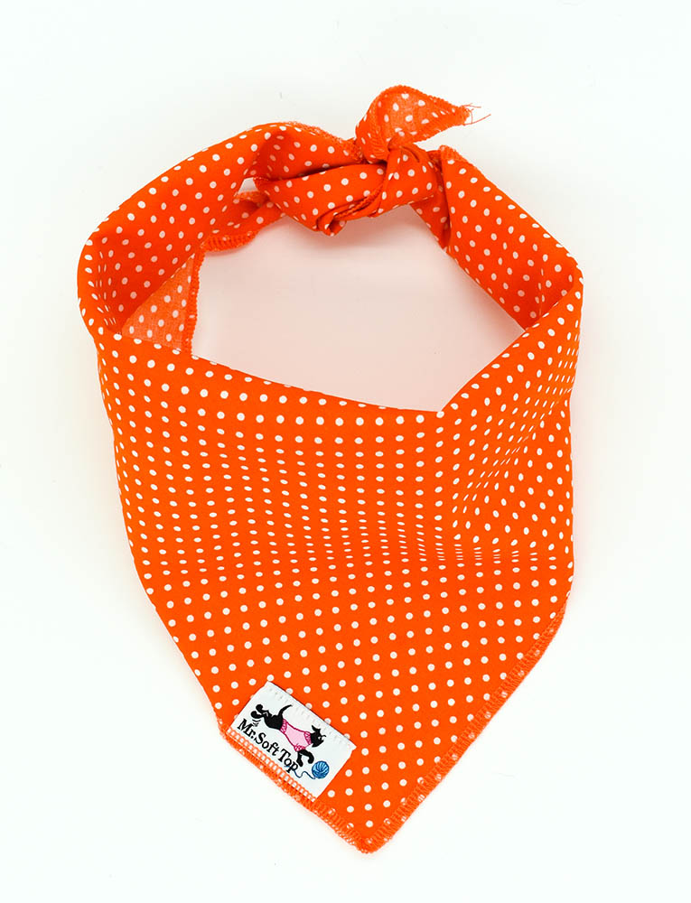 Bundle 10 Colourful Bandanas