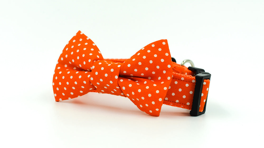 Orange Spot Bow