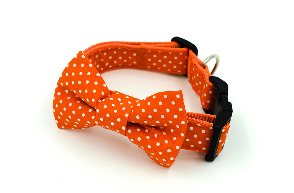 Orange Spot Collar