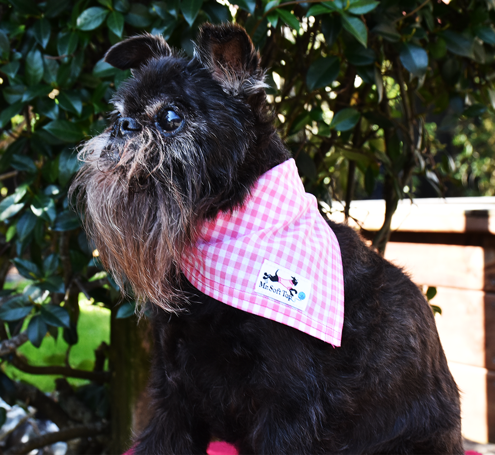 Pink and White Gingham Bandana