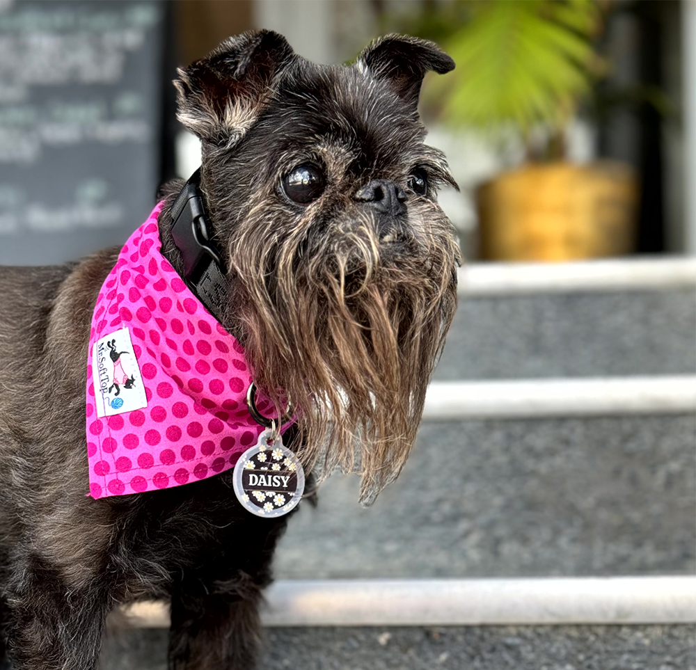 Cerise Polka Dot Bandana