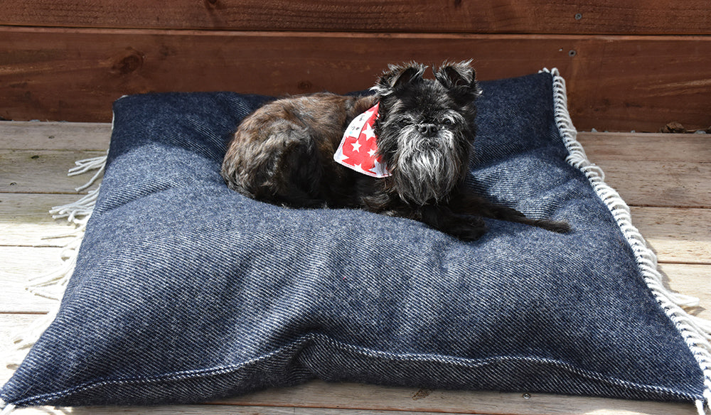 Dark Navy 100% Lambswool Luxury Dog Bed