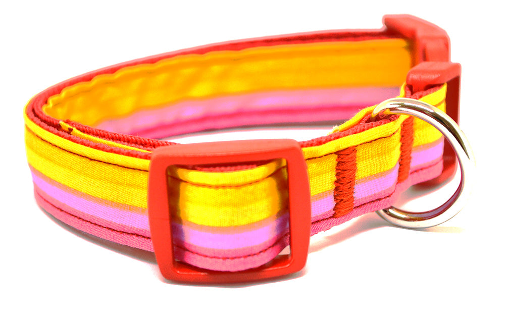 Rainbow Stripe Collar - 3 Sizes Available