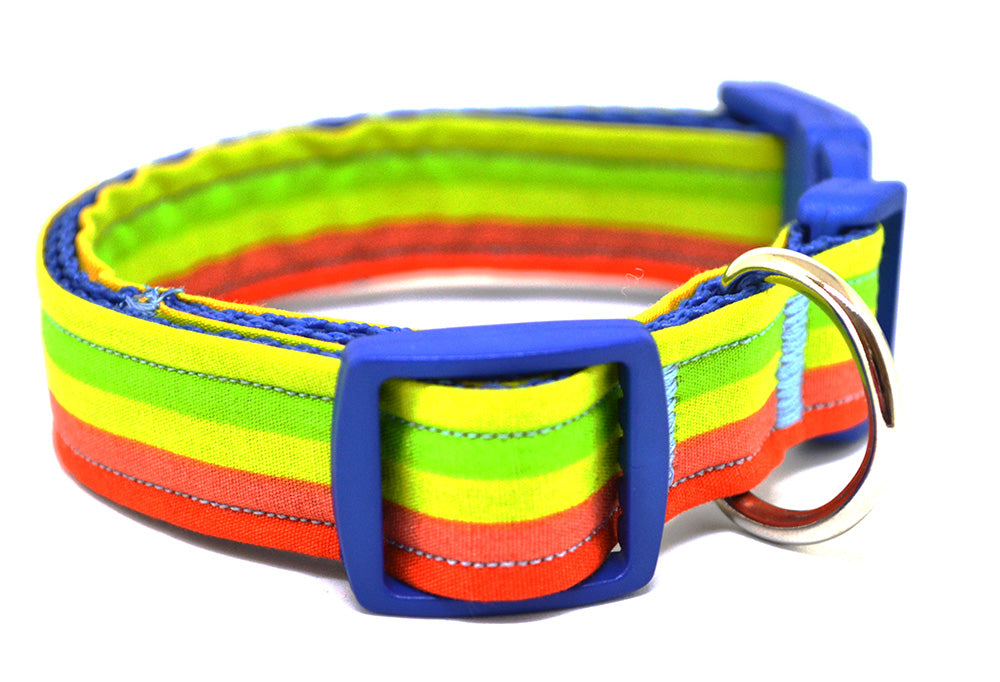 Rainbow Stripe Collar - 3 Sizes Available