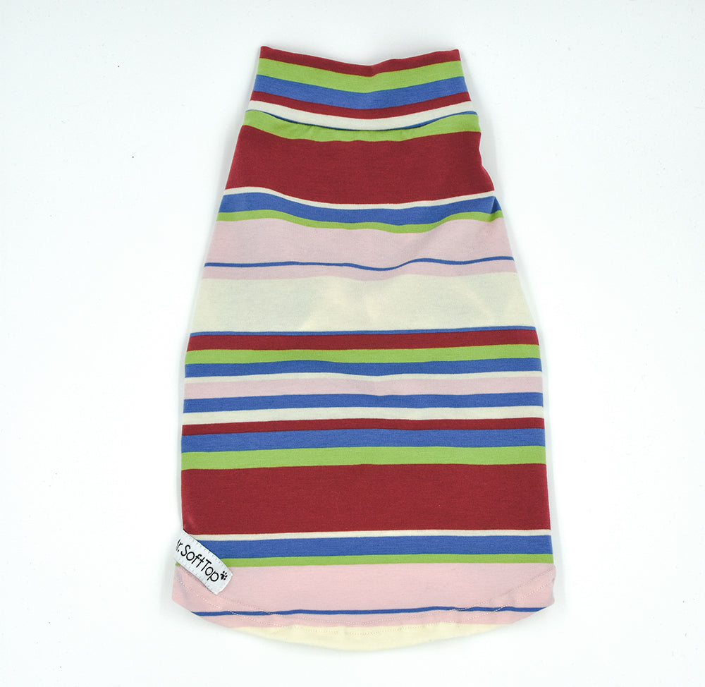 Rainbow Striped Cotton Tee