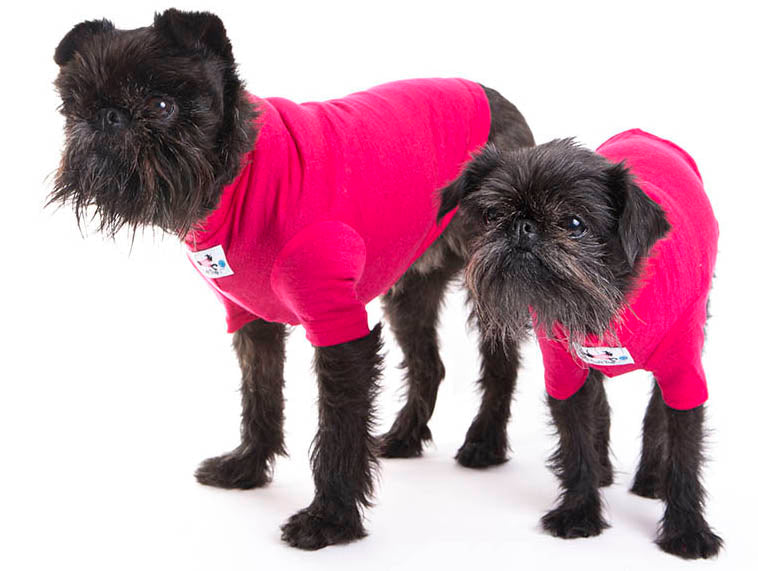 Hot Pink 100% Merino Tee