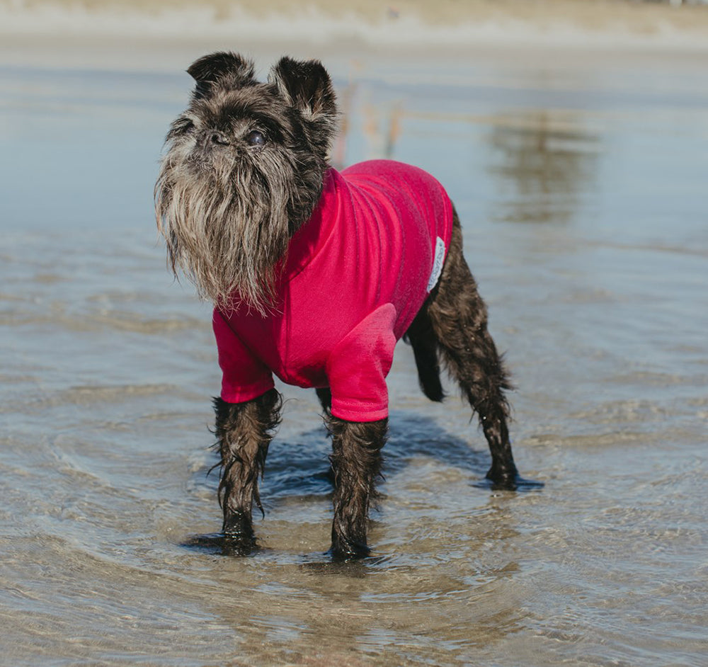 Sweet Raspberry Merino Tee