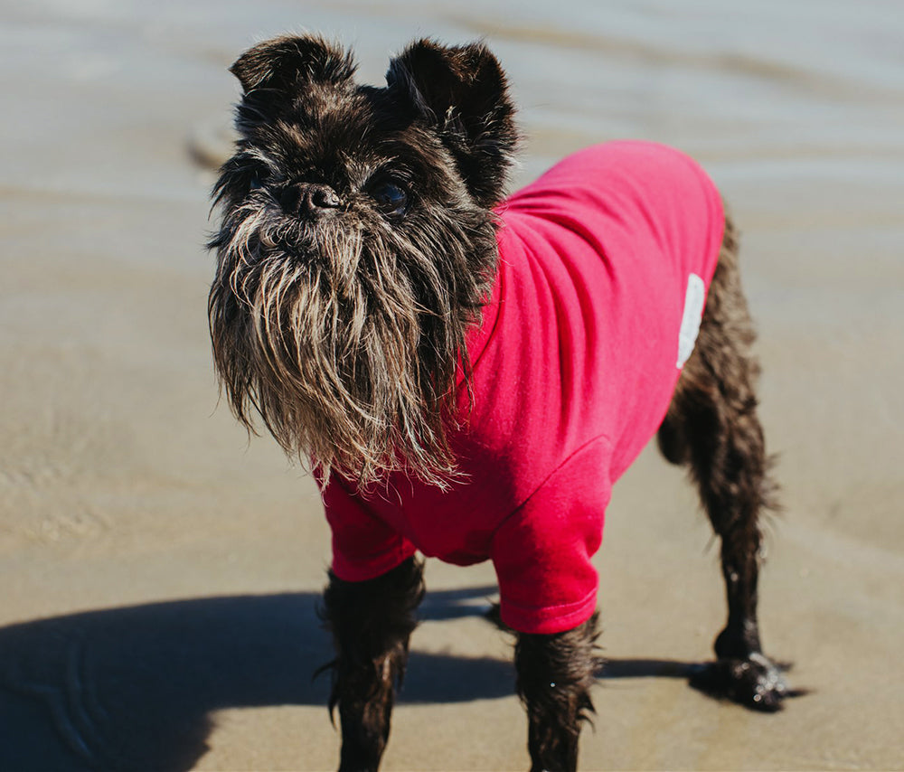 Sweet Raspberry Merino Tee