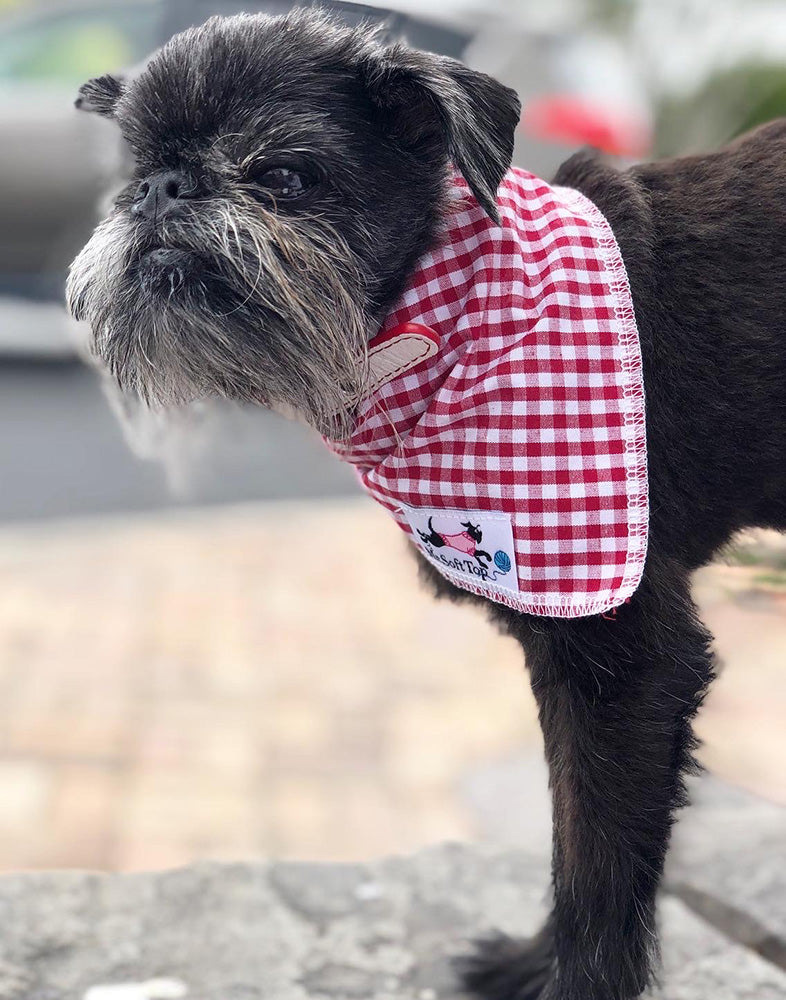 Red Gingham Bandana