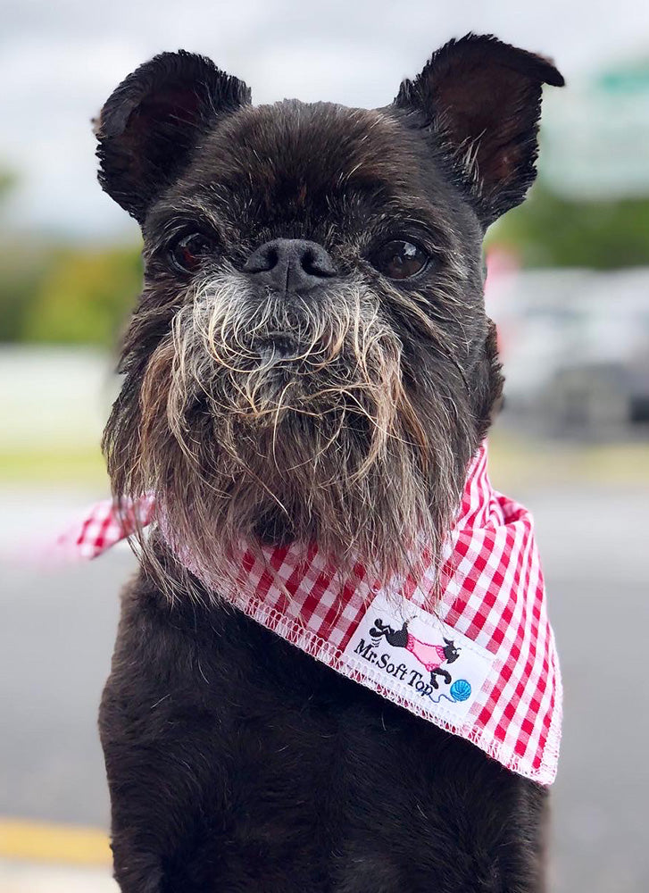 Red Gingham Bandana