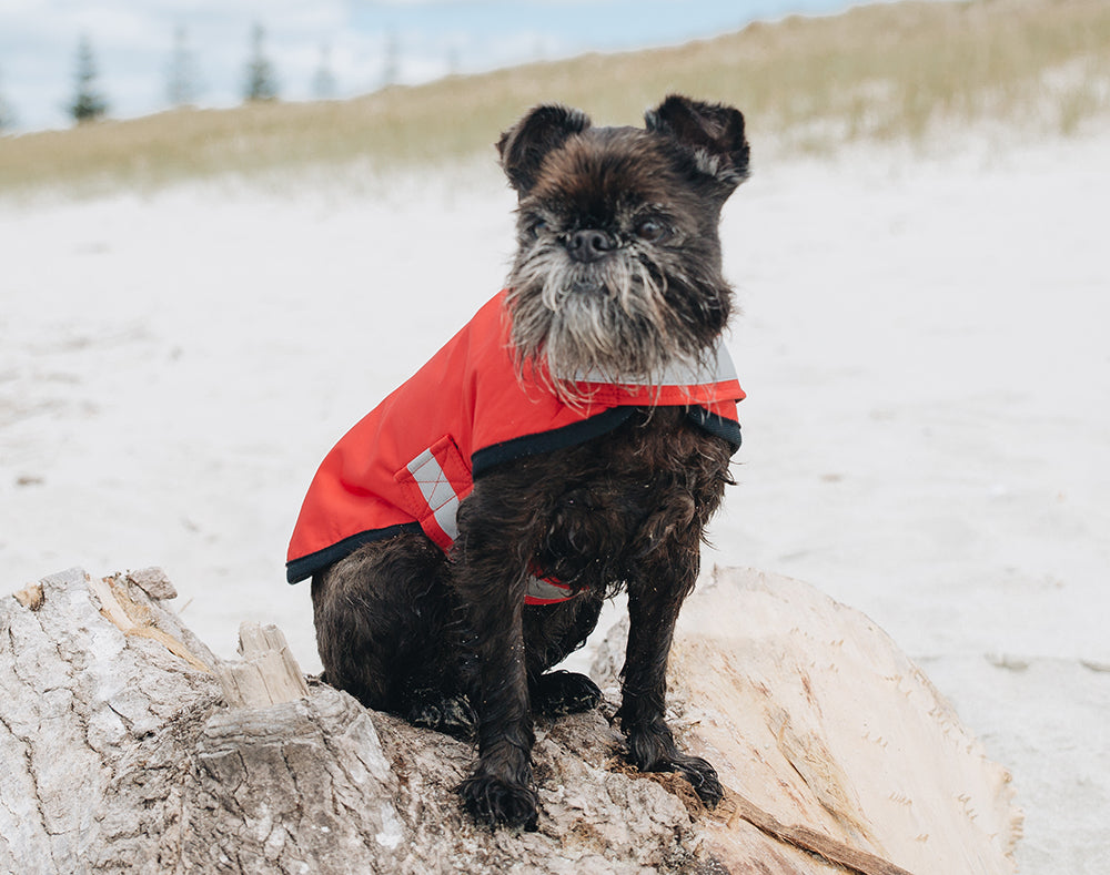 Red Waterproof Raincoat