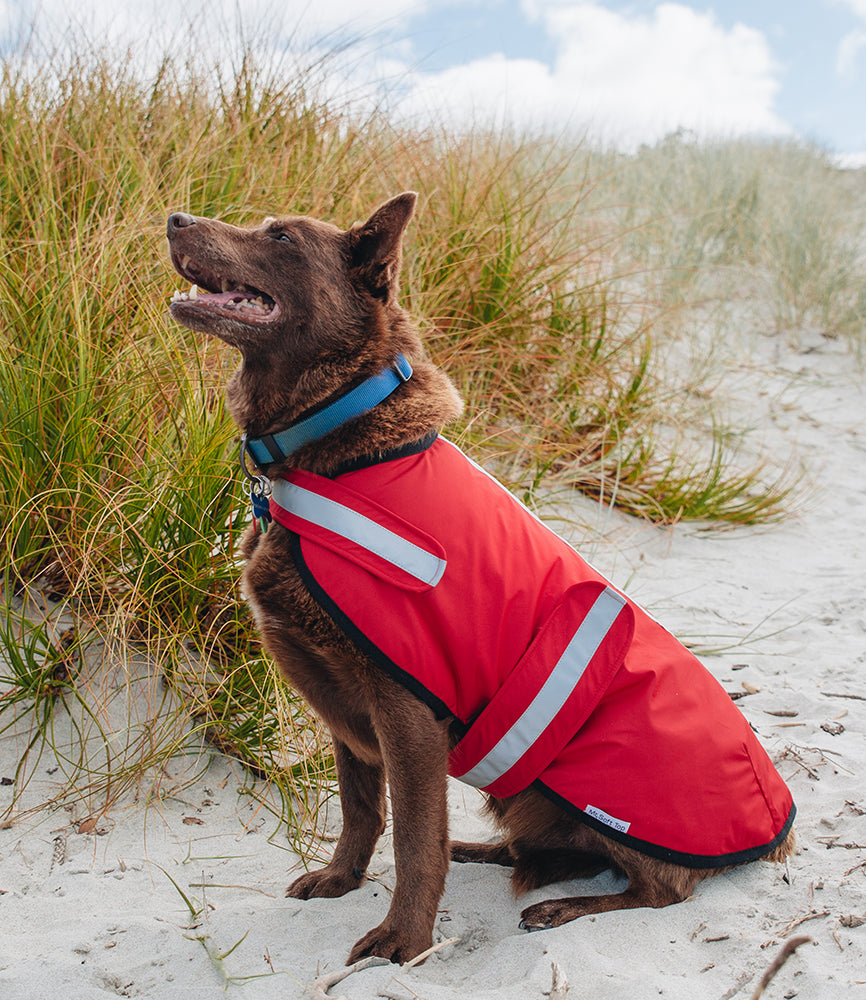 Red Waterproof Raincoat