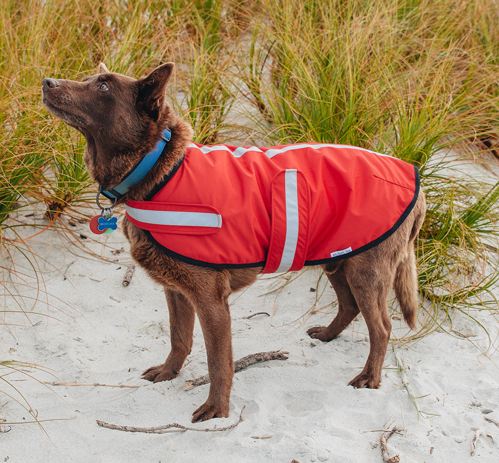 Red Waterproof Raincoat