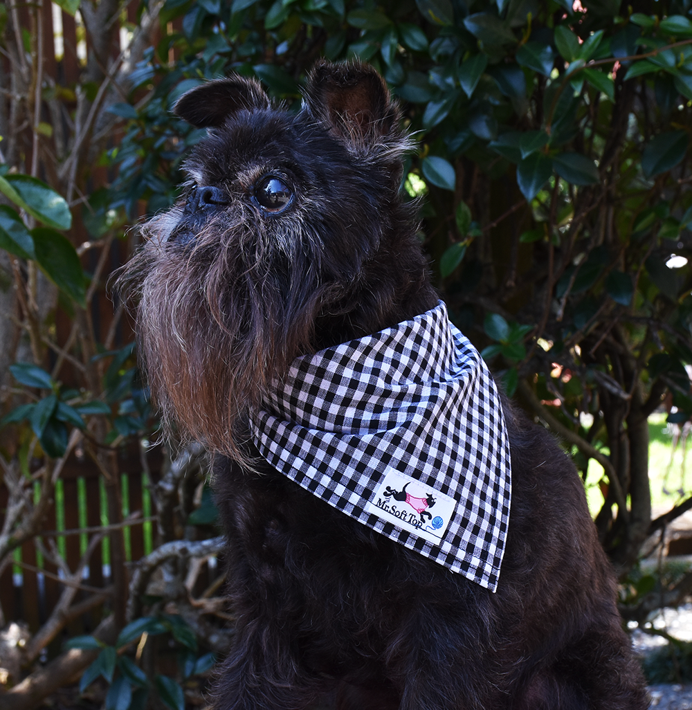 Black and White Gingham Bandana