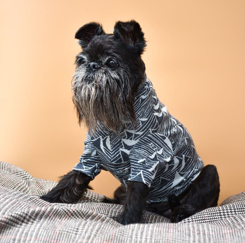 Snow Capped Mountains Merino Tee