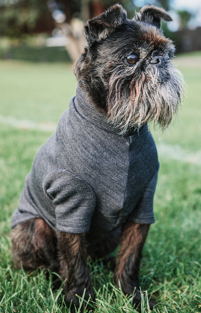 Steel Merino Tee
