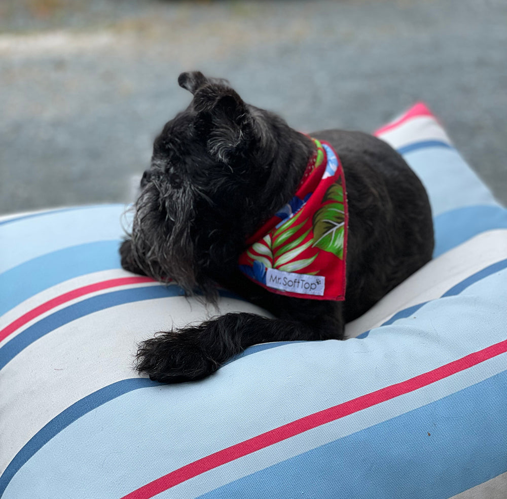 Tropical Hibiscus Cooling Dog Bandana