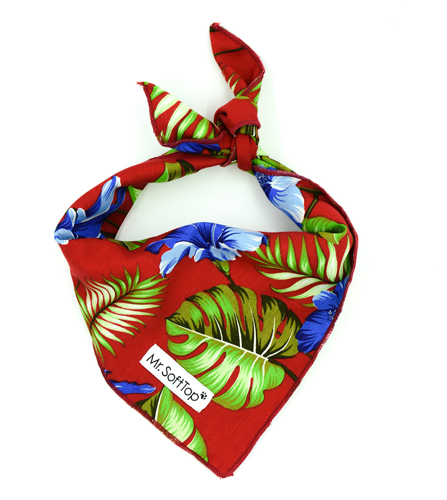 Tropical Hibiscus Cooling Dog Bandana