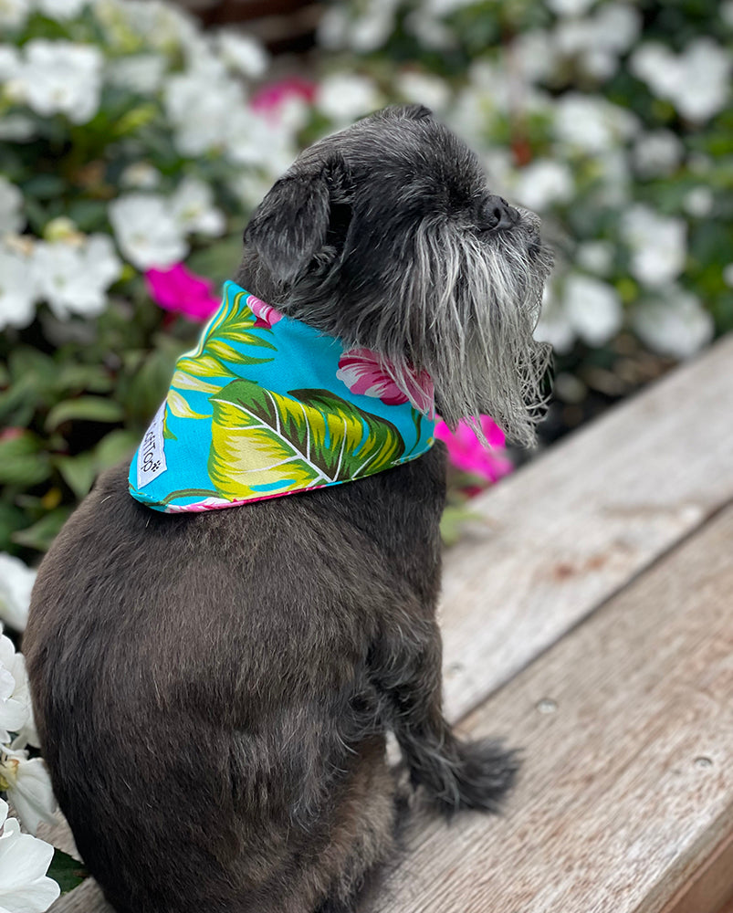 Tropical Hibiscus Cooling Dog Bandana