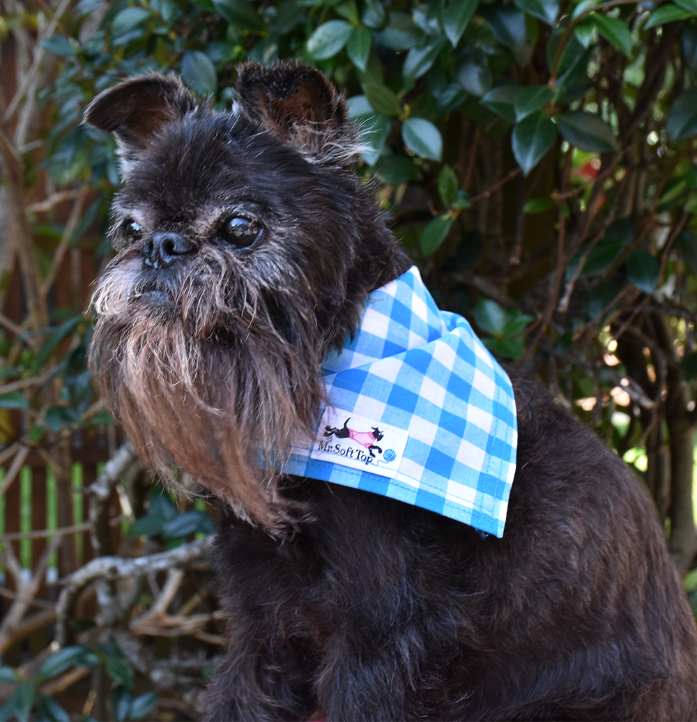 Turquoise and White Check Bandana