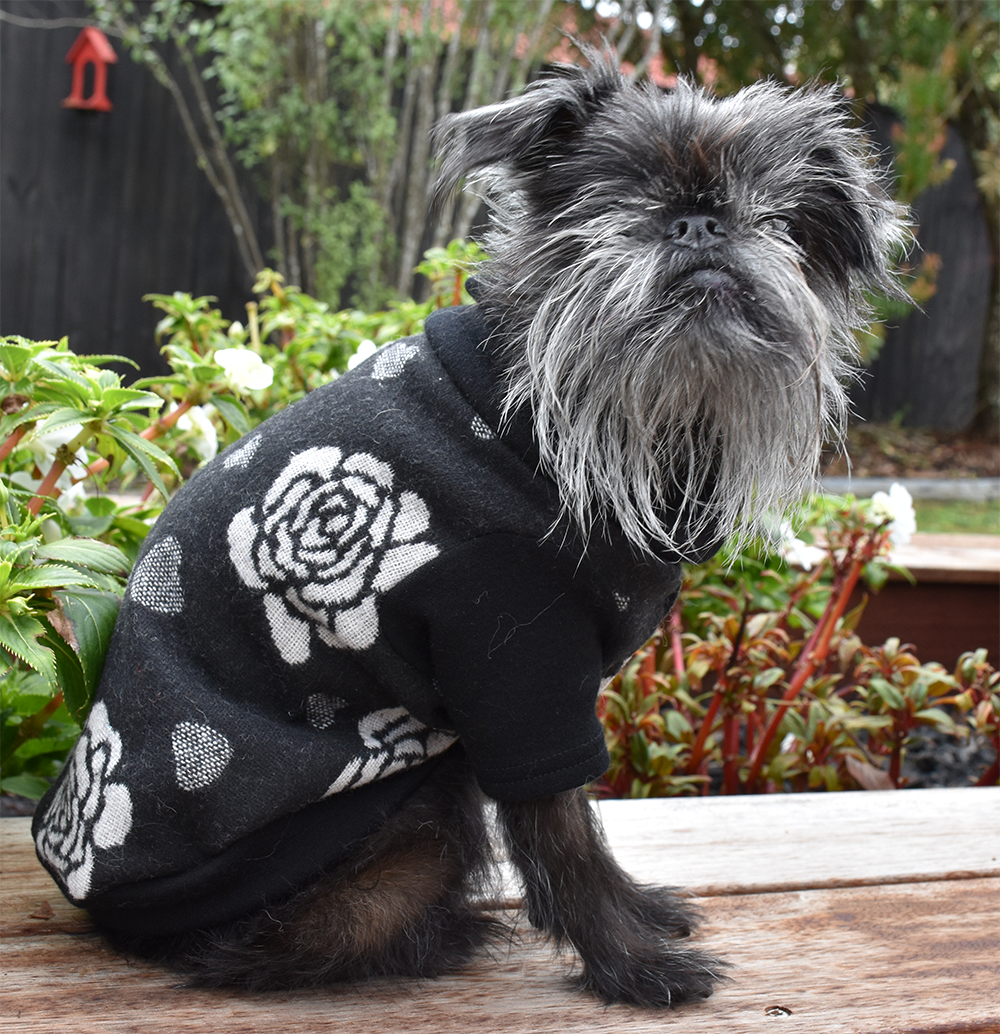 War of the Roses Wool Sweater