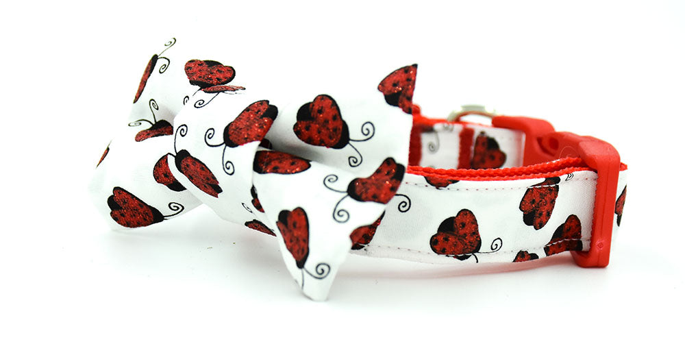 White with Red Glitter Ladybugs Collar