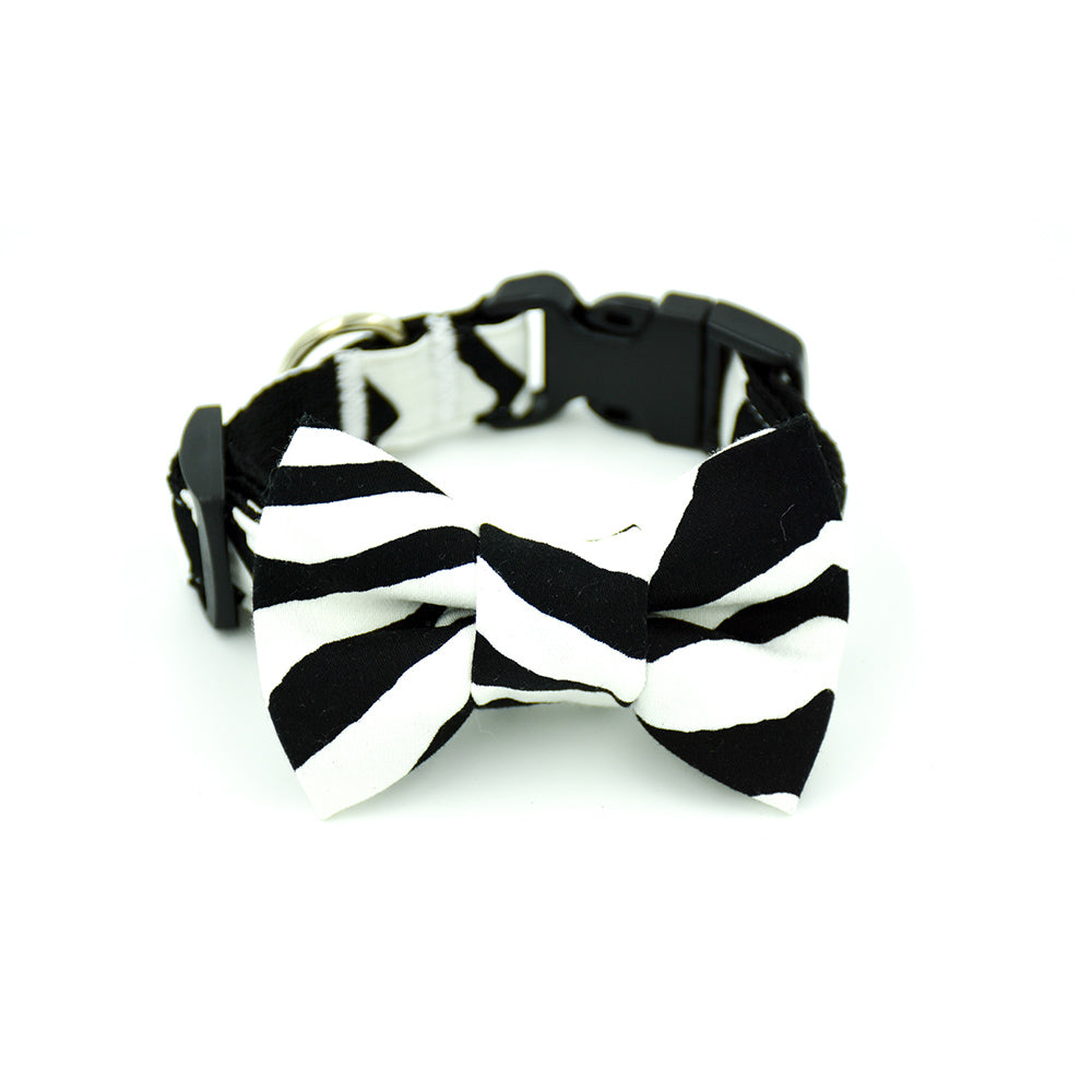 Zebra Print Collar