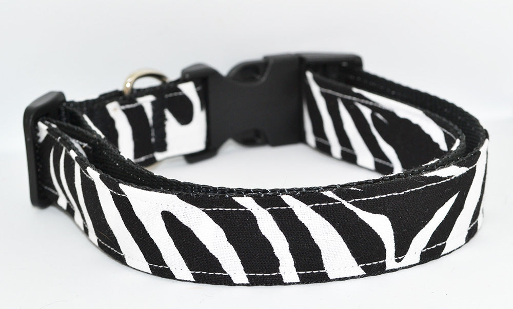 Zebra Print Collar