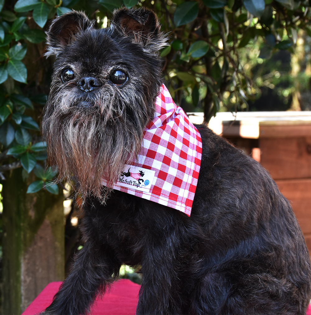 Red and White Check Bandana